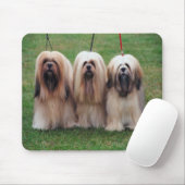 Muismat Lhasa apso (Met muis)