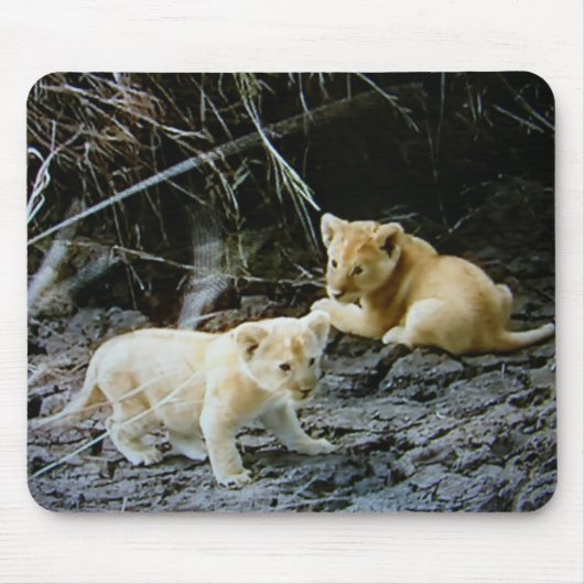 MUISMAT "LION CUB BROTHERS HANG OUT" (Voorkant)