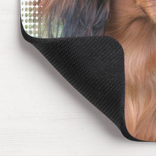 Muismat Longhaire Dachshund (Hoek)