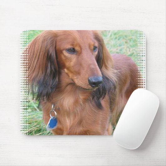 Muismat Longhaire Dachshund (Met muis)