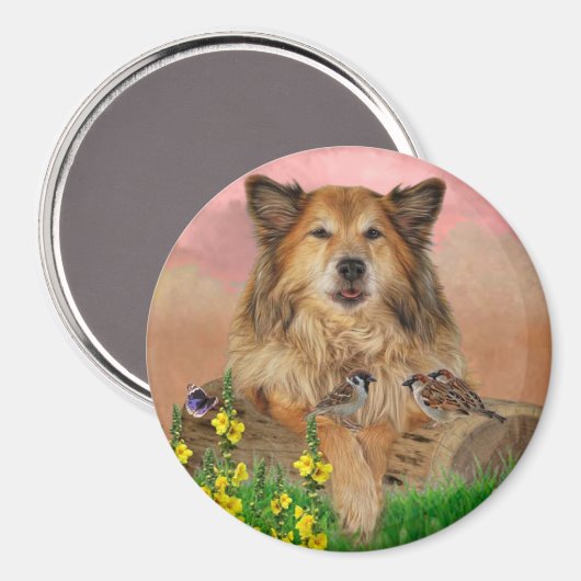 Muismat Magneet (Voorkant / Achterkant)