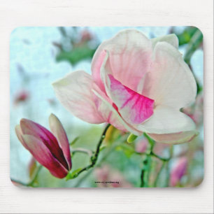 Muismat Magnolia