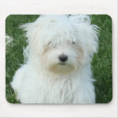 Muismat Maltese Puppies (Voorkant)