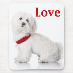 Muismat met Bichon Frise Puppy Hond