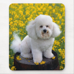 Muismat met Bichon Frise Puppy Hond