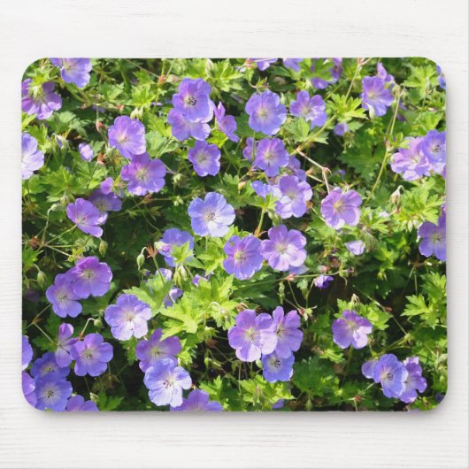 muismat met blauwe bloemen (Voorkant)