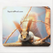 Muismat met eekhoorn (Voorkant)