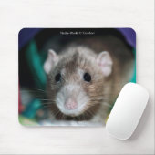 Muismat met een Dumbo Fancy Rat (Met muis)