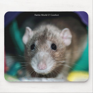 Muismat met een Dumbo Fancy Rat