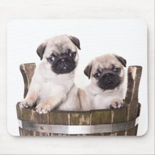 Muismat met een schattige pugg puppy hond in een h