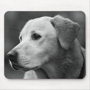 Muismat met gele labrador retriever pup hond