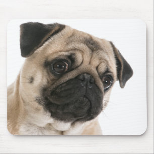 Muismat met Love Pug Puppies