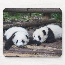 Muismat met Mooie Panda Jongen