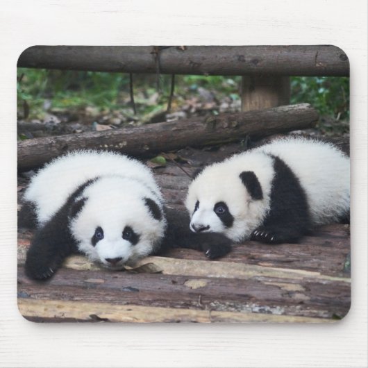 Muismat met Mooie Panda Jongen (Voorkant)