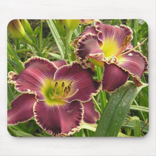 Muismat met Paar van Paarse Daylilies (Voorkant)