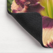 Muismat met Paarse ogen op perzikdag (Hoek)