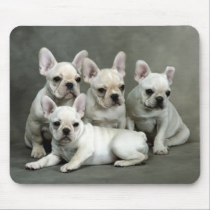 Muismat met Schattige Franse Bulldog Puppy
