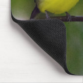 Muismat met staarten (Hoek)