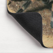 Muismat Mexicaanse rode knie Tarantula spin (Hoek)