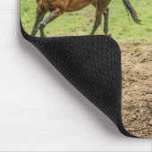 Muismat mooie paarden (Hoek)