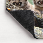 Muismat "Mountain Lion Cubs" (Hoek)