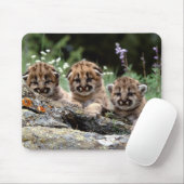 Muismat "Mountain Lion Cubs" (Met muis)