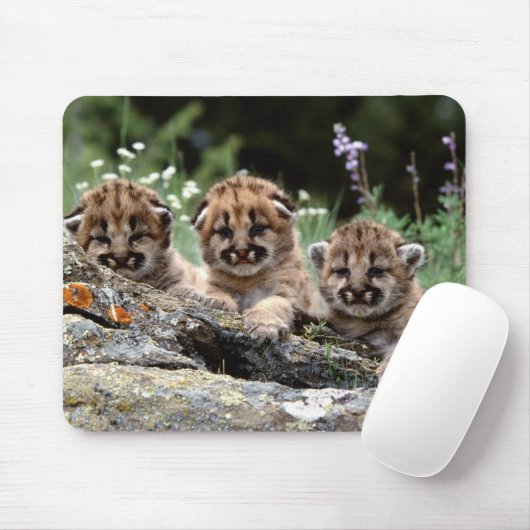 Muismat "Mountain Lion Cubs" (Met muis)
