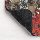 Muismat moxie (Hoek)