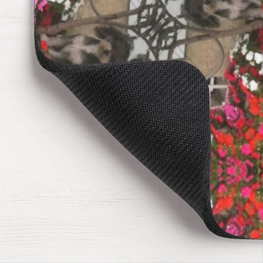 Muismat moxie (Hoek)