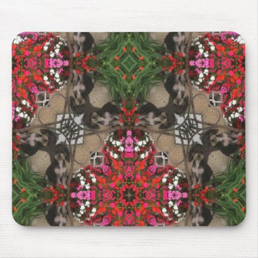 Muismat moxie (Voorkant)