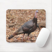 Muismat Noord-Georgië Wilde Turkije (Met muis)