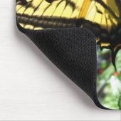 Muismat Oostelijke tijger Swallowtail Butterfly (Hoek)