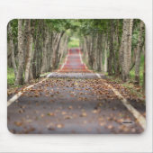 Muismat op lange weg HAMbWG (Voorkant)