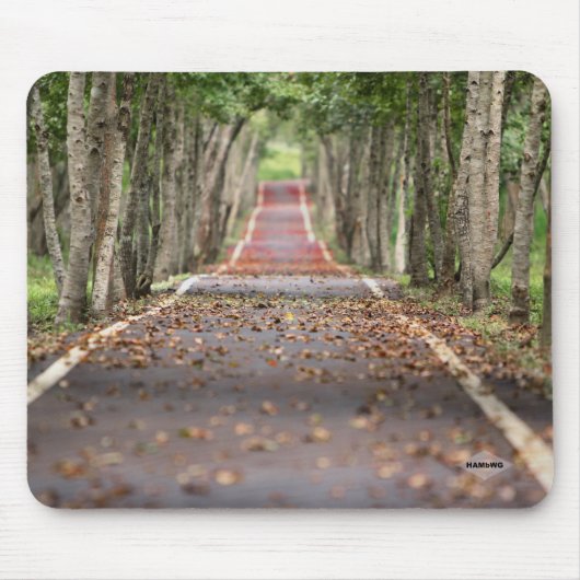 Muismat op lange weg HAMbWG (Voorkant)