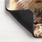 Muismat Pallas Cat (Hoek)