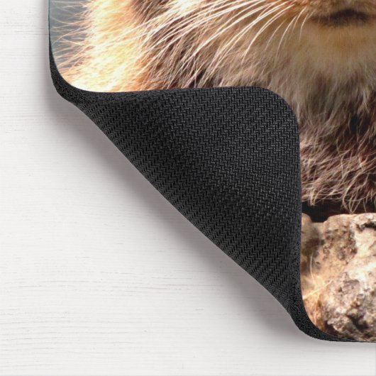 Muismat Pallas Cat (Hoek)