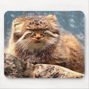 Muismat Pallas Cat