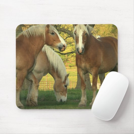 Muismat Palomino Draft Horses (Met muis)