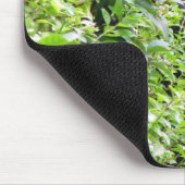 Muismat Peek-A-Boo Gorilla (Hoek)