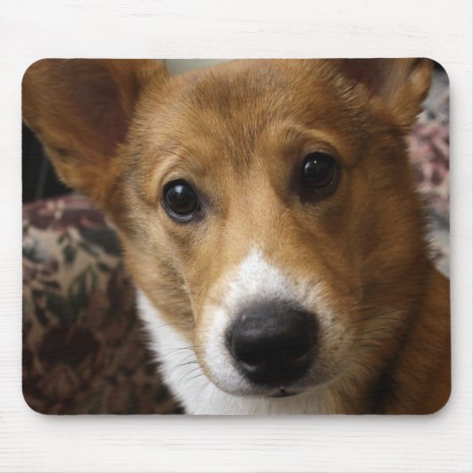 Muismat Pembroke Corgi (Voorkant)