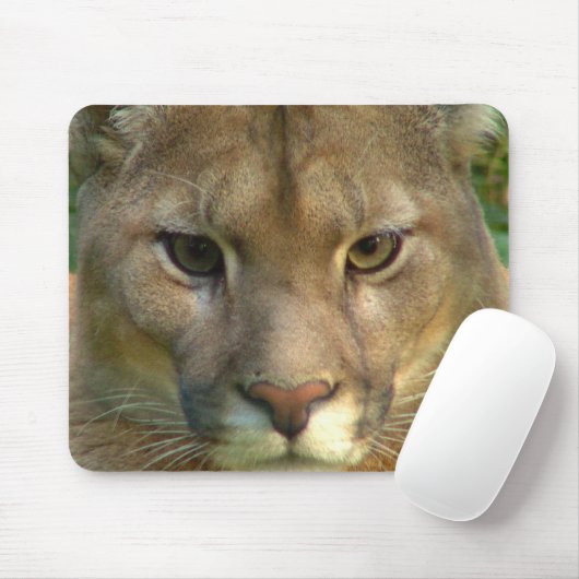 Muismat Puma Mountain Cat (Met muis)