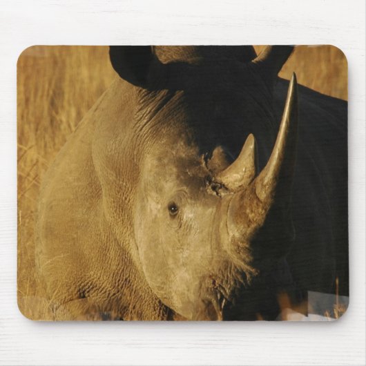 Muismat Rhino (Voorkant)
