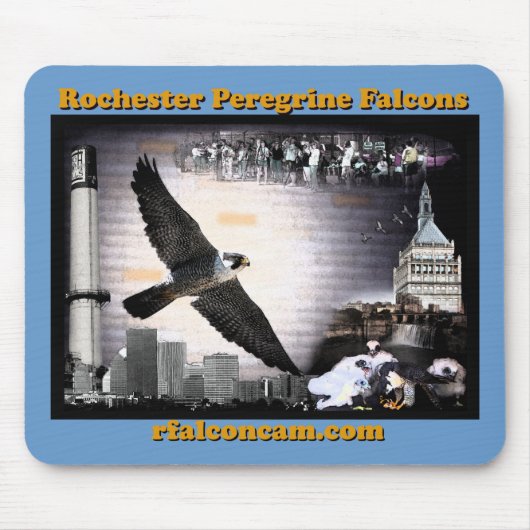 Muismat Rochester Peregrine Falcons (Voorkant)
