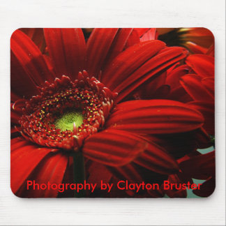 Muismat — Rode Floral