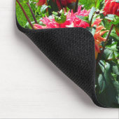 Muismat Rode Sinaasappel Dhalia (Hoek)