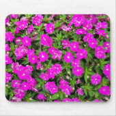 Muismat roze effecten (Voorkant)