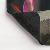 Muismat roze Lotus Waterlilies (Hoek)