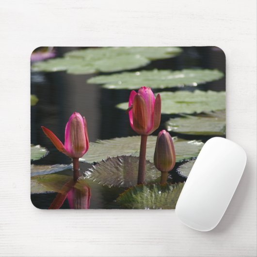 Muismat roze Lotus Waterlilies (Met muis)