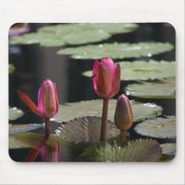 Muismat roze Lotus Waterlilies