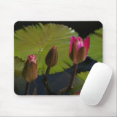 Muismat roze Lotus Waterlilies (Met muis)
